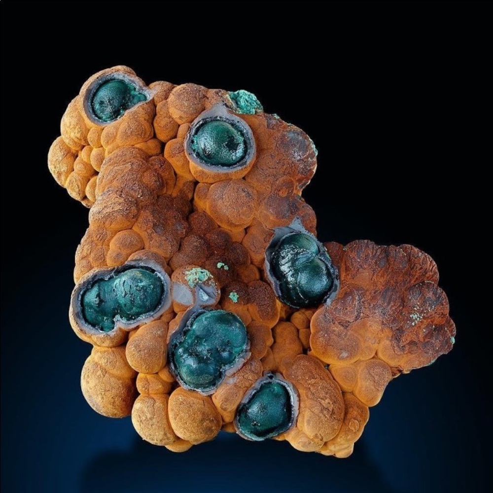 Meet your Posher, Vitaly